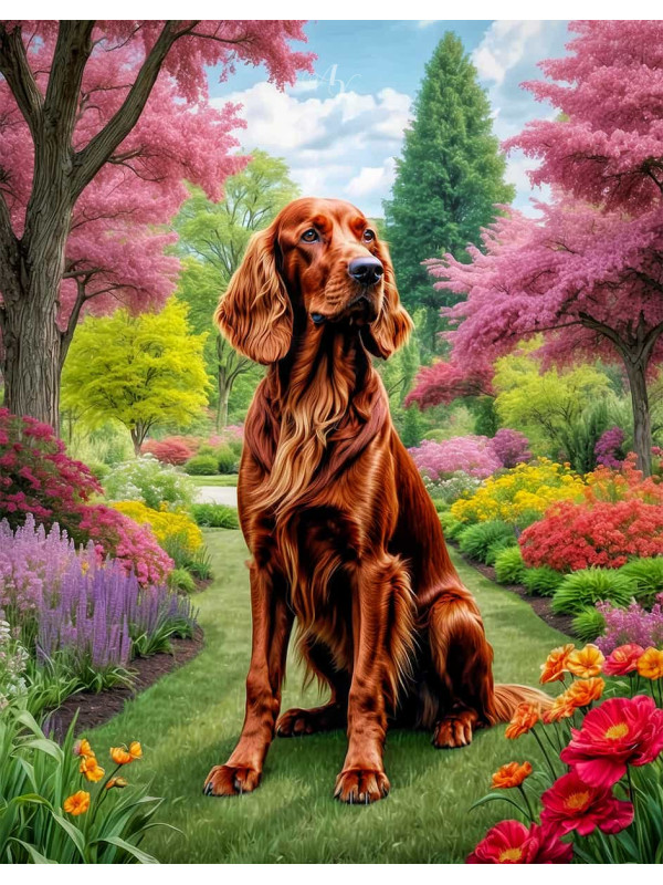 Irish Setter Portrait Paintings