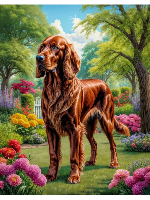 Irish Setter Portrait Paintings