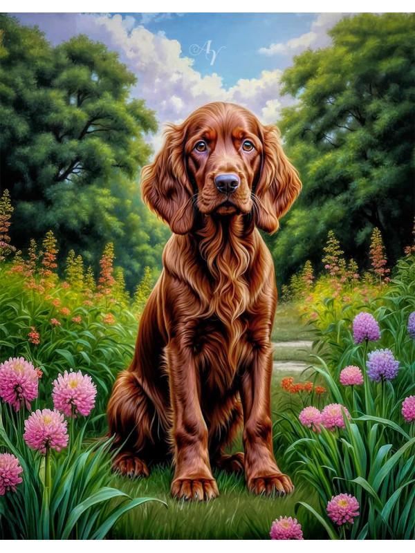 Irish Setter Portrait Paintings