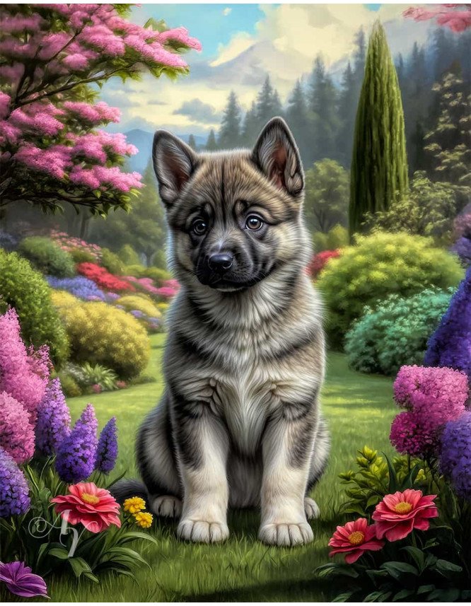 Norwegian Elkhound Dog Portrait Paintings Norwegian Elkhound Dog Portrait Paintings
