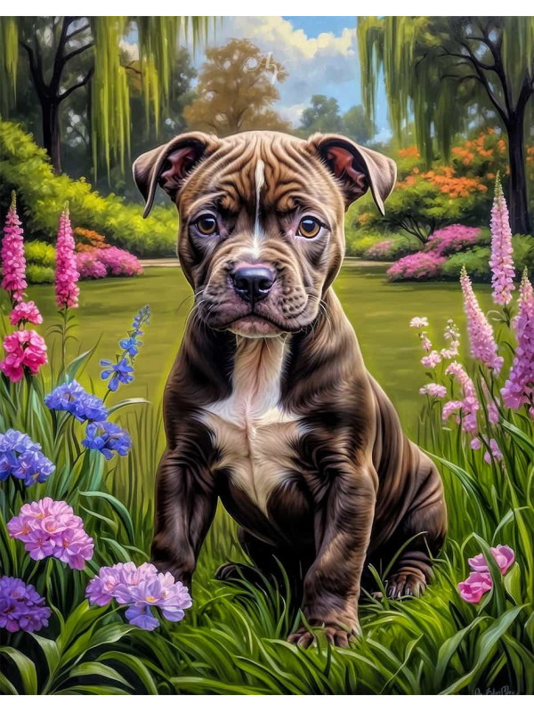 Pitbull Terrier Portrait Paintings
