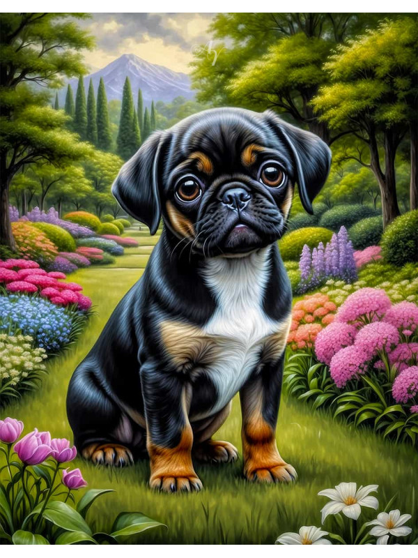 Puggle Dog Portrait Paintings