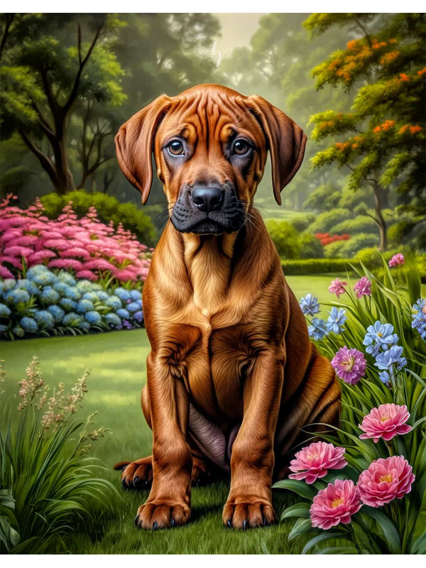 Rhodesian Ridgeback Dog Portrait Paintings