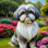 Shih Tzu Portrait Paintings