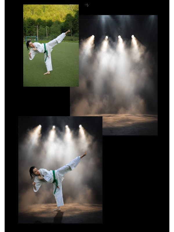 Karate Martial Arts Customized Photo Paintings