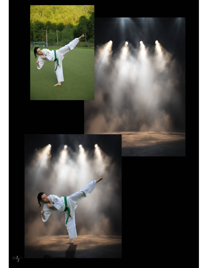 Karate Martial Arts Customized Photo Paintings Karate Martial Arts Customized Photo Paintings