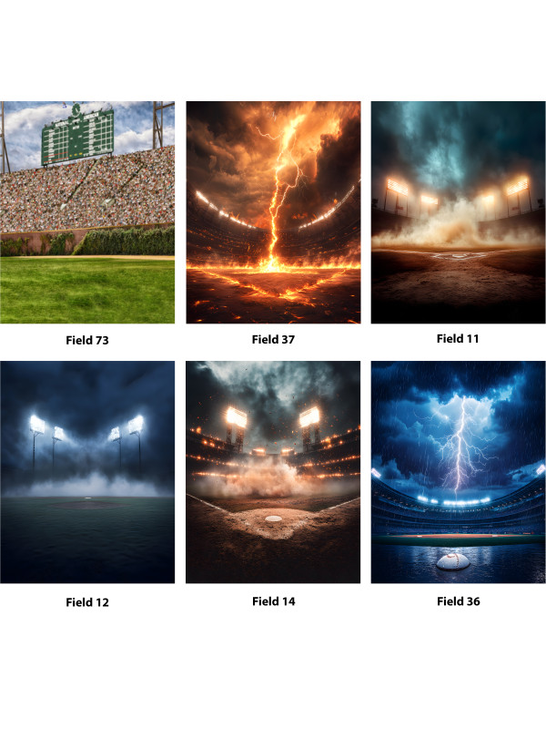 Baseball Star Keepsake Customized Photo Paintings