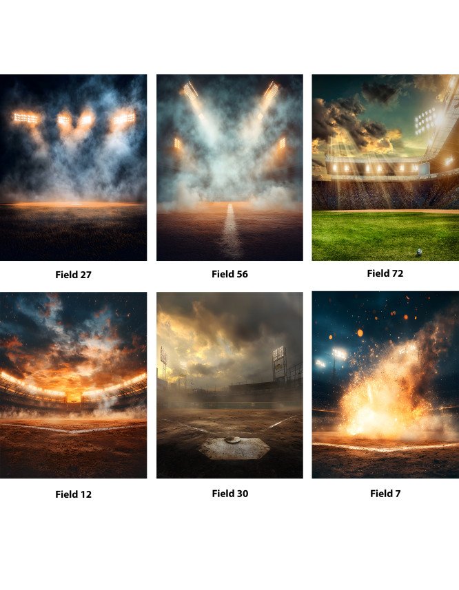 Baseball Star Customized Photo Paintings