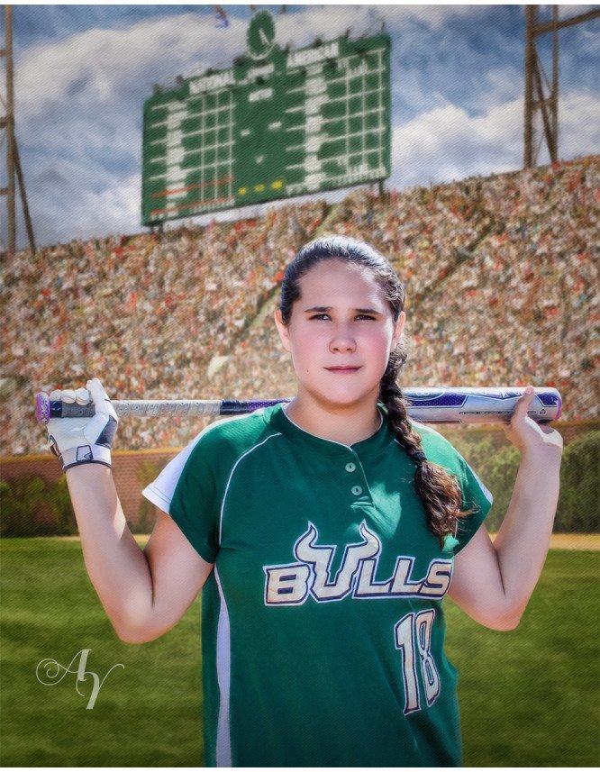 Baseball Star Customized Photo Paintings