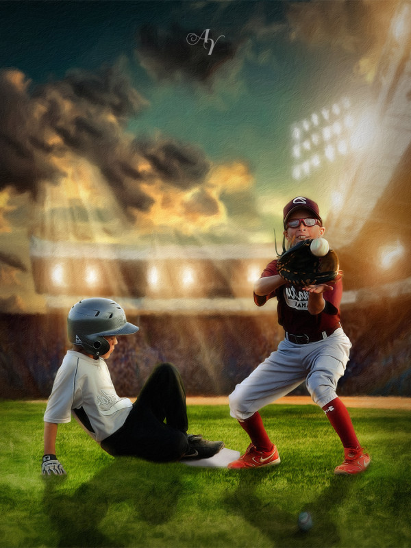 Baseball Star Customized Photo Paintings