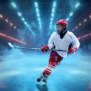 Ice Skating - Hockey Customized Photo Paintings