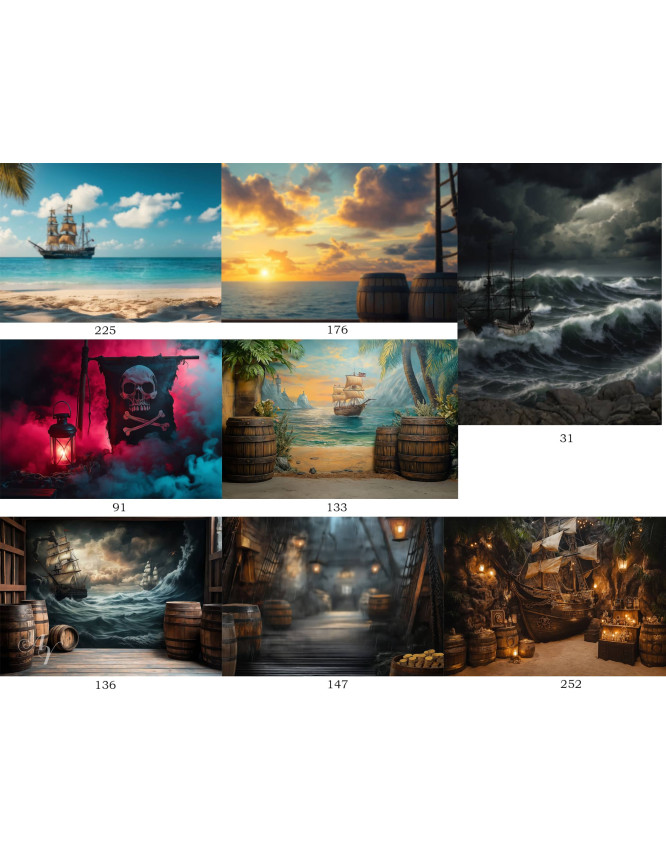 Adult Pirate Customized Photo Paintings