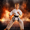 Karate Martial Arts Customized Photo Paintings