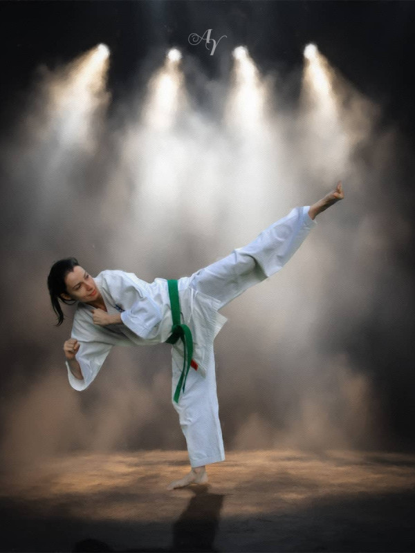 Karate Martial Arts Customized Photo Paintings