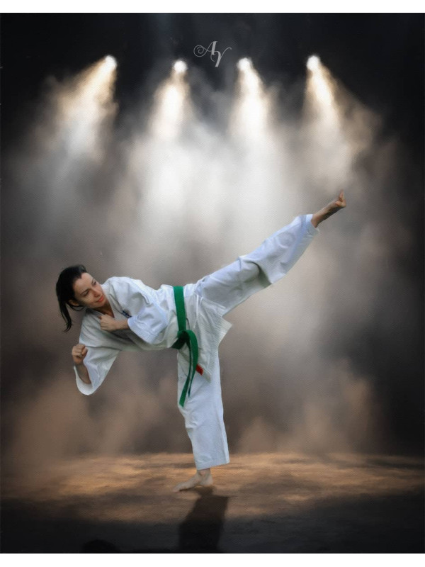 Karate Martial Arts Customized Photo Paintings