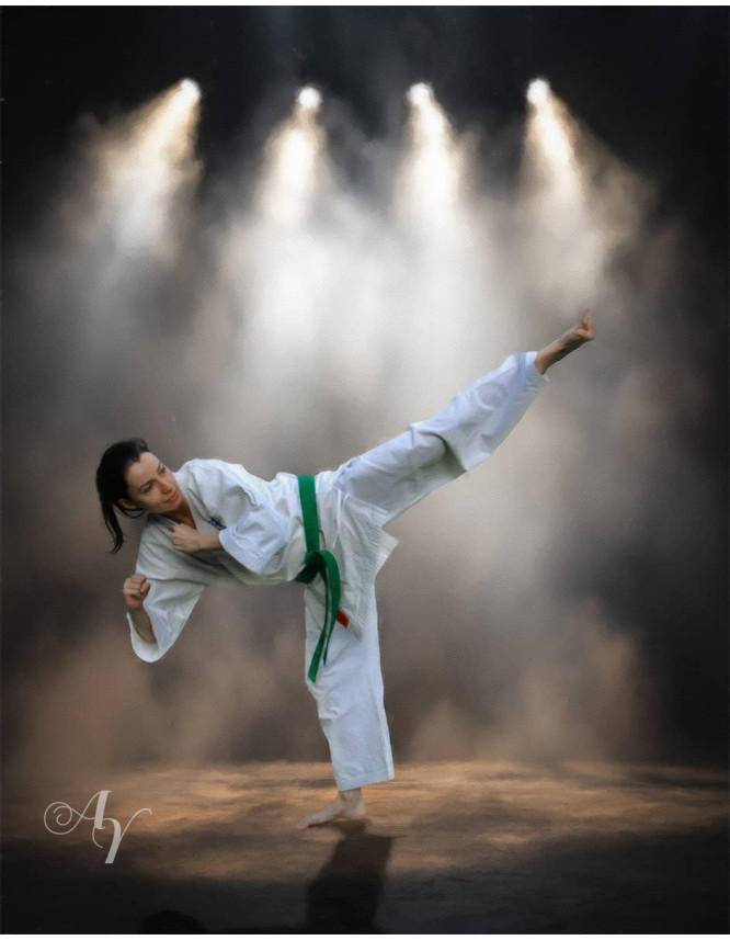 Karate Martial Arts Customized Photo Paintings Karate Martial Arts Customized Photo Paintings