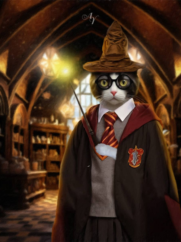 Hairy Potter Costume Pet Customized Photo Paintings