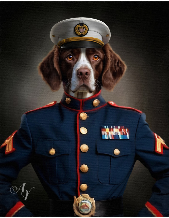 American Military Costume Pet Customized Photo Paintings
