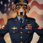 American Military Costume Pet Customized Photo Paintings