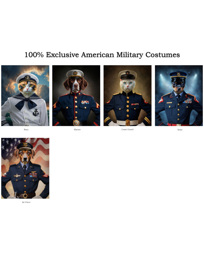 American Military Costume Pet Customized Photo Paintings American Military Costume Pet Customized Photo Paintings