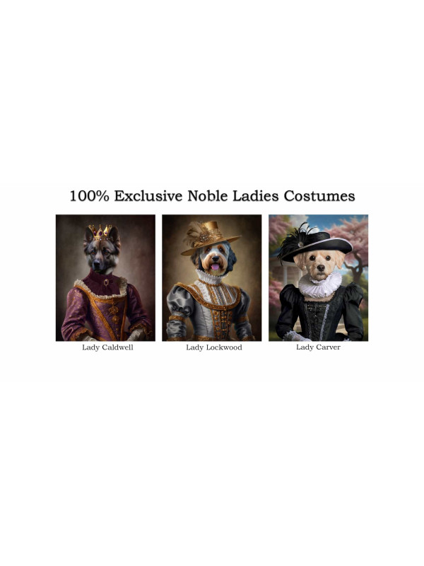 Noble Ladies Pet Period Style Customized Photo Paintings