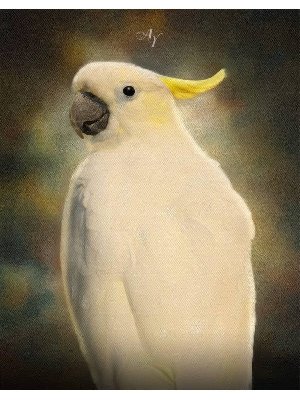 Classic All Pet Customized Photo Paintings