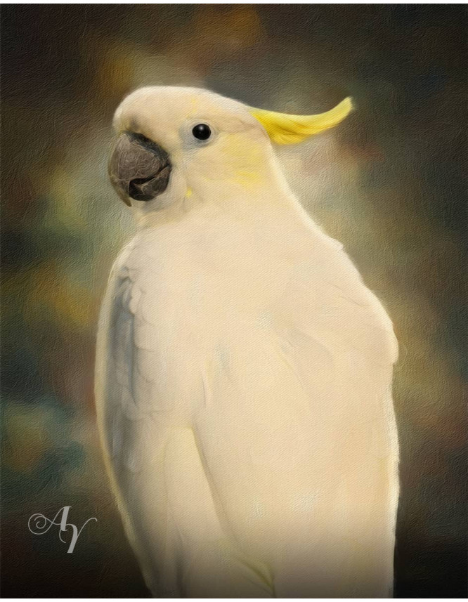 Classic All Pet Customized Photo Paintings