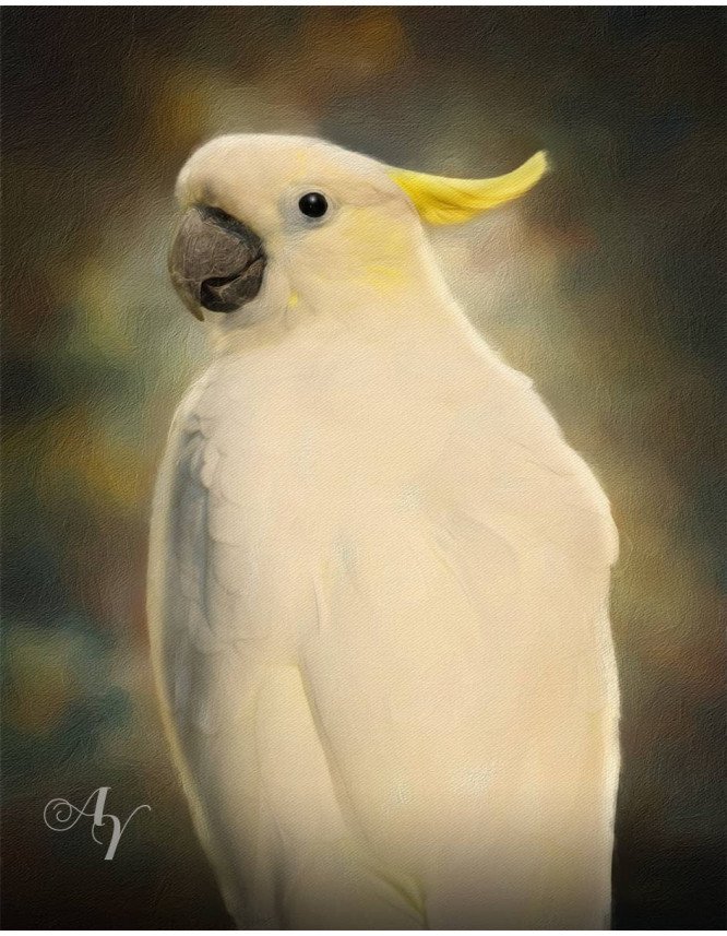 Classic All Pet Customized Photo Paintings Classic All Pet Customized Photo Paintings
