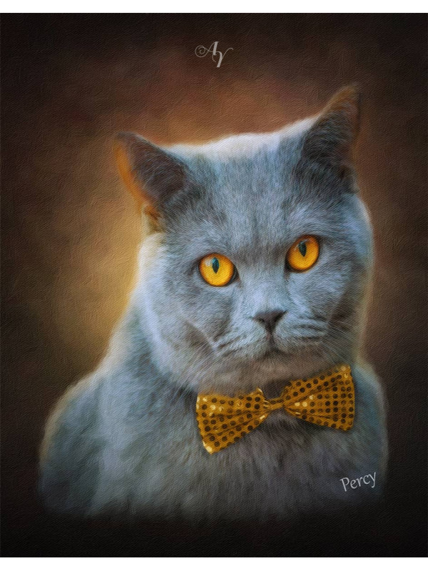 Classic All Pet Customized Photo Paintings
