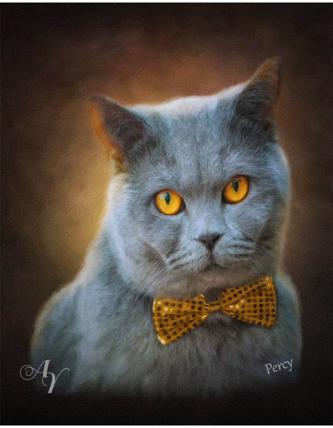 Classic All Pet Customized Photo Paintings