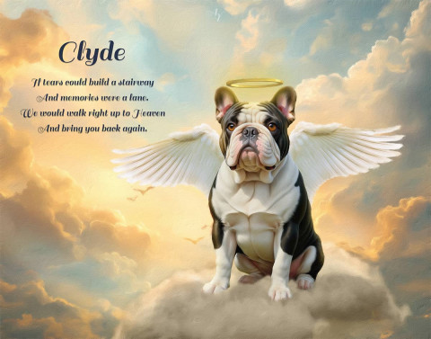 Lost Pets Rainbow Bridge Custom Portraits