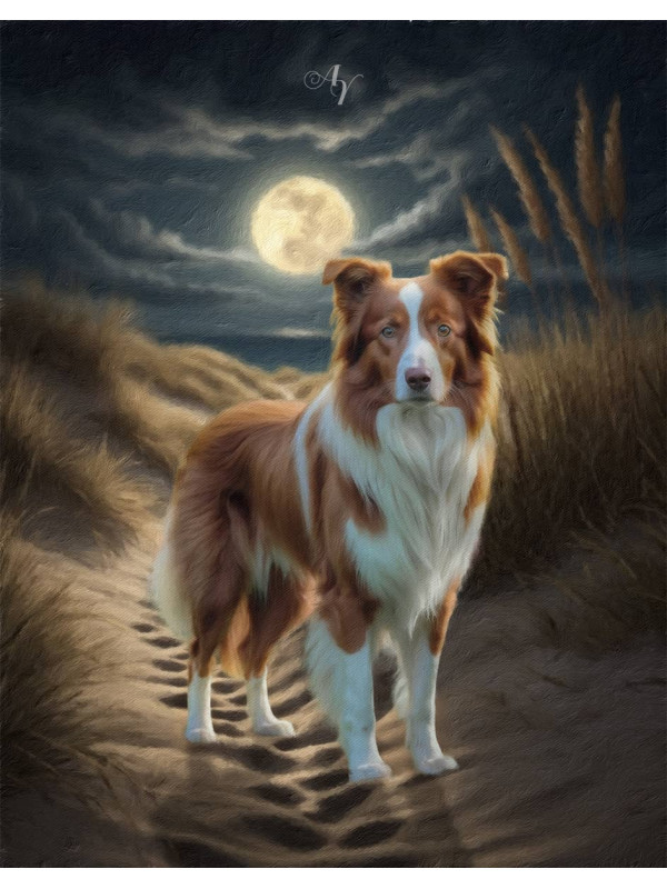 Fantasy Beach Scene Pet Customized Photo Paintings