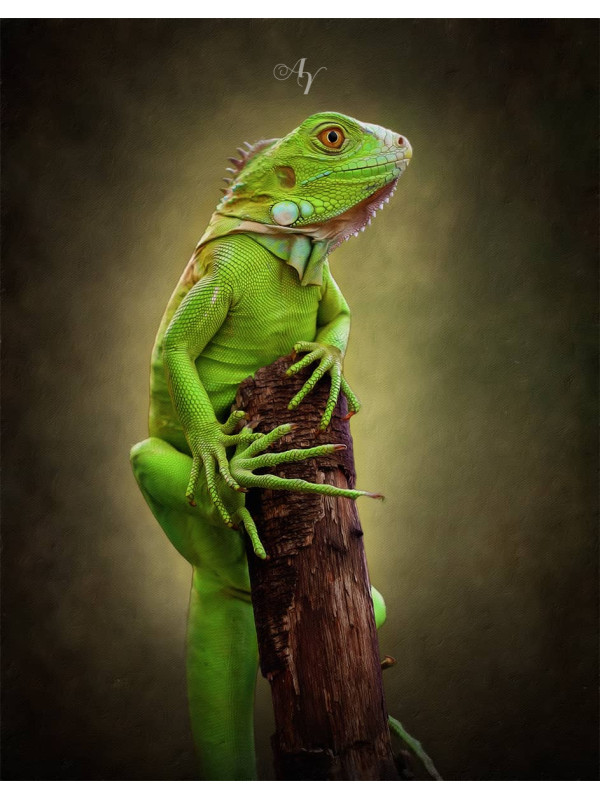 Classic All Pet Customized Photo Paintings