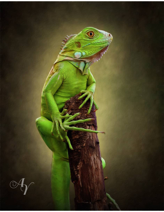 Classic All Pet Customized Photo Paintings