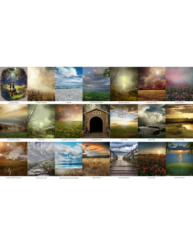 Fantasy Scene Customized Photo Paintings for Dogs, Cats, Horses