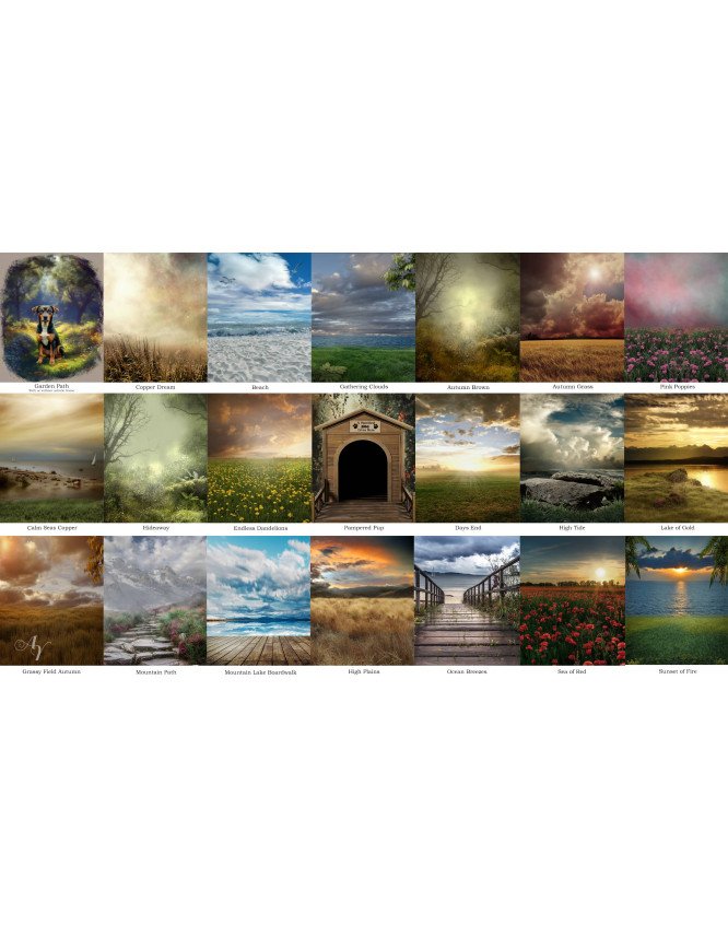 Fantasy Scene Customized Photo Paintings for Dogs, Cats, Horses Fantasy Scene Customized Photo Paintings for Dogs, Cats, Horses