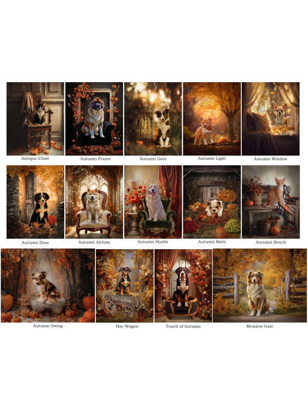 Autumn Theme Pet Customized Photo Paintings on Canvas
