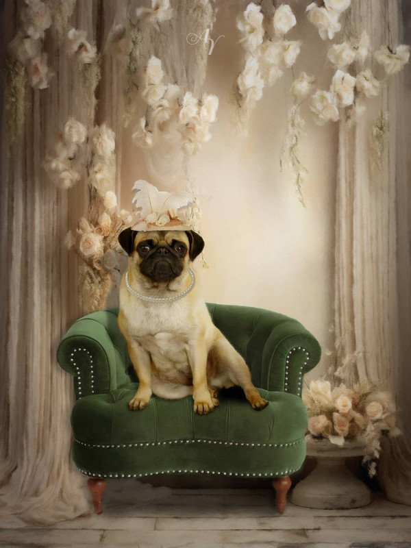 Victorian Classic Studio Pet Customized Photo Paintings