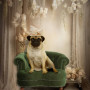 Victorian Classic Studio Pet Customized Photo Paintings