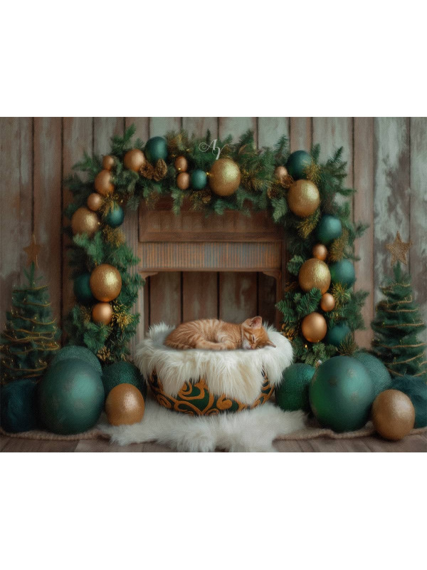 Holiday Hearth Pet Customized Photo Paintings