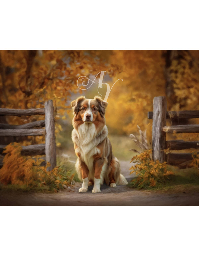 Fantasy Scene Customized Photo Paintings for Dogs, Cats, Horses Fantasy Scene Customized Photo Paintings for Dogs, Cats, Horses