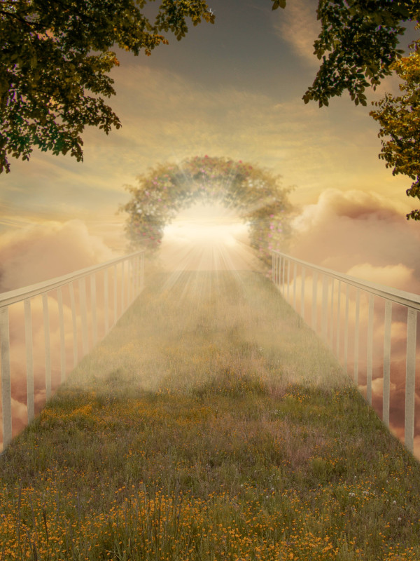Sky Bridge Pet Memorial Customized Photo Paintings