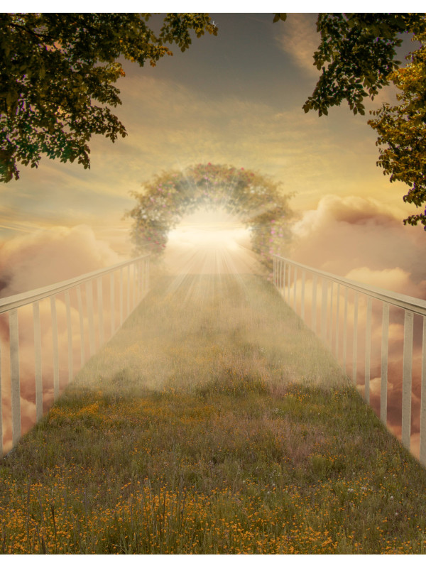 Sky Bridge Pet Memorial Customized Photo Paintings