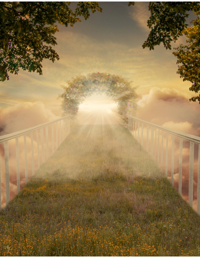 Sky Bridge Pet Memorial Customized Photo Paintings