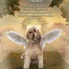 Sky Bridge Pet Memorial Customized Photo Paintings