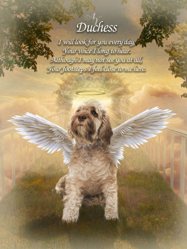 Sky Bridge Pet Memorial Customized Photo Paintings