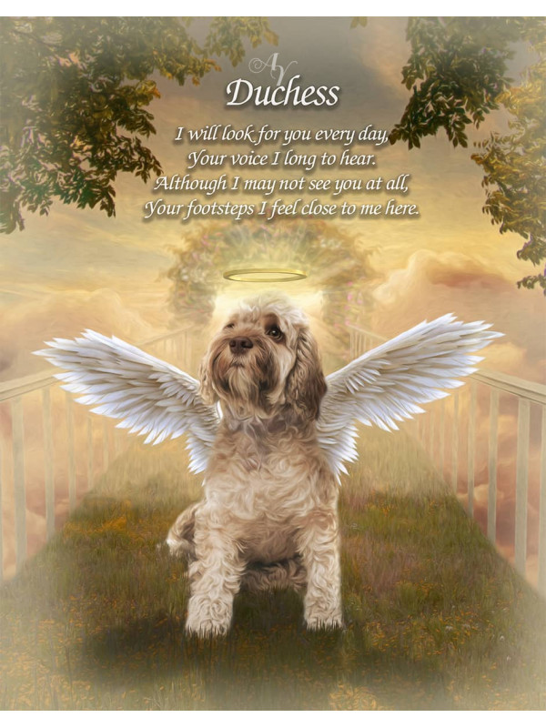 Sky Bridge Pet Memorial Customized Photo Paintings