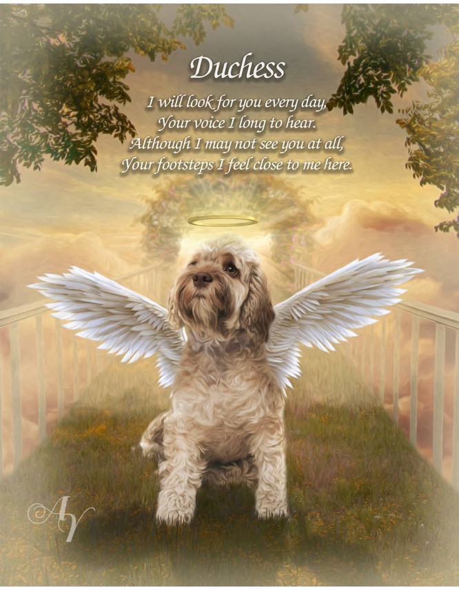 Sky Bridge Pet Memorial Customized Photo Paintings