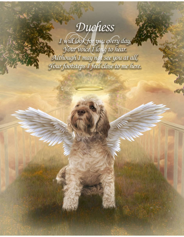 Sky Bridge Pet Memorial Customized Photo Paintings Sky Bridge Pet Memorial Customized Photo Paintings