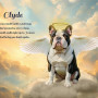 Heavens Glow Pet Memorial Customized Photo Paintings